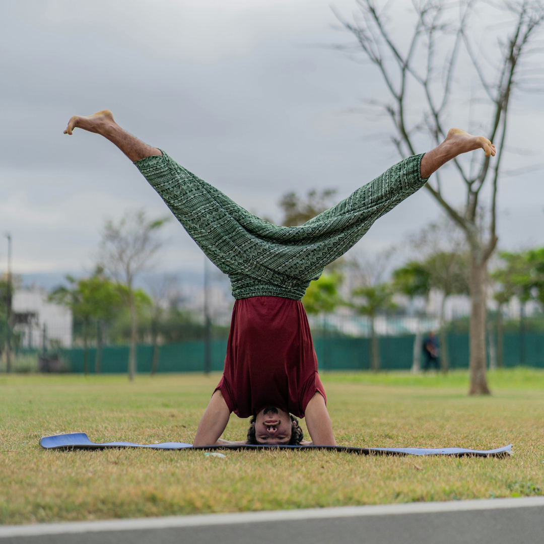 What is Perfect Health and Why PerfectHealth360 Matters in Today’s World
