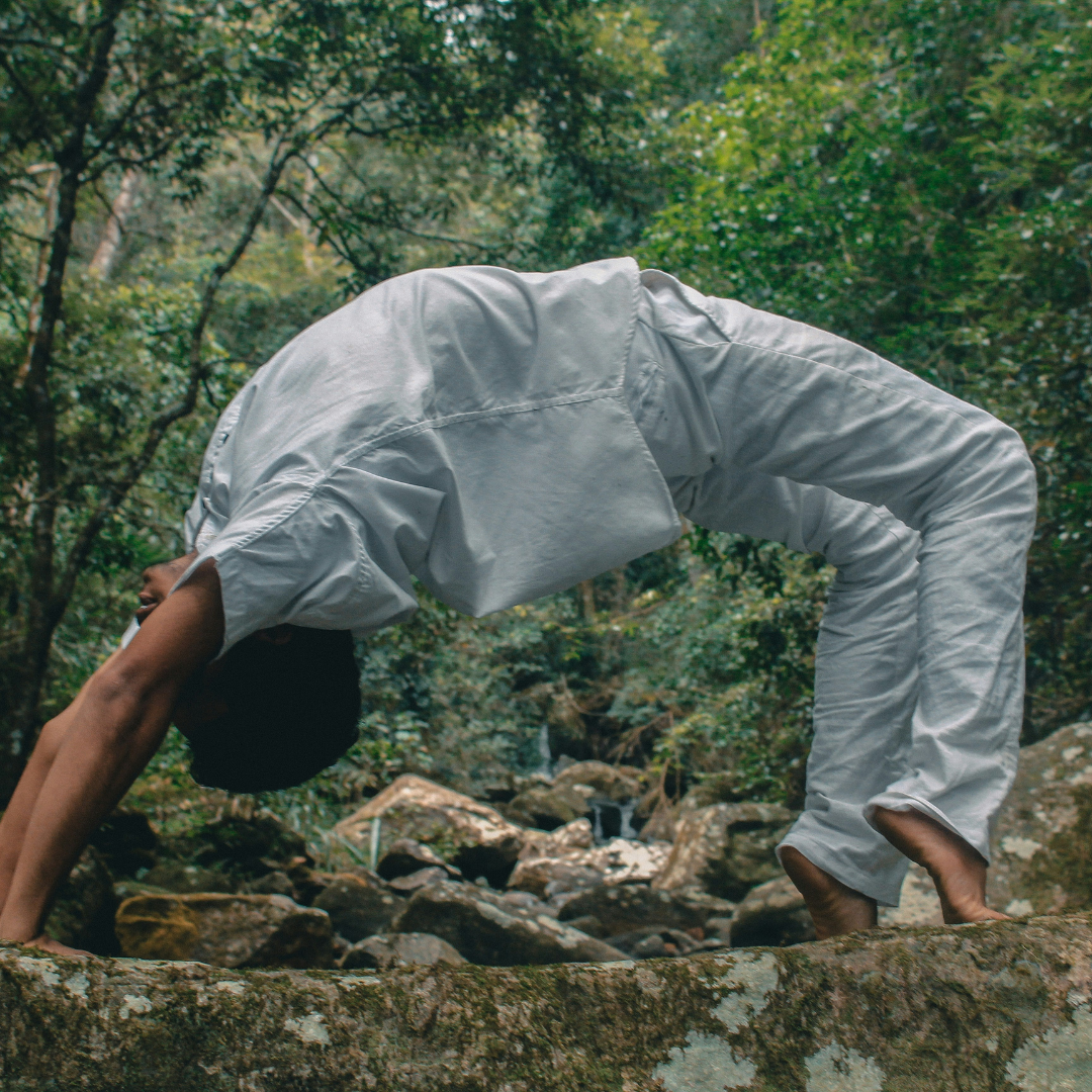 Natural Healing Remedies: Holistic Solutions for Modern Health Issues